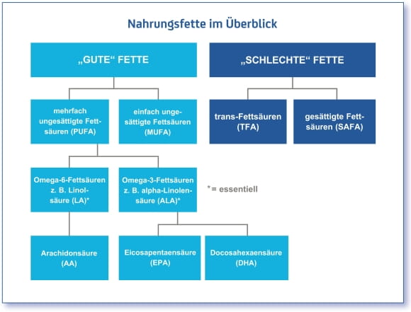 Fettqualität in der Ernährung