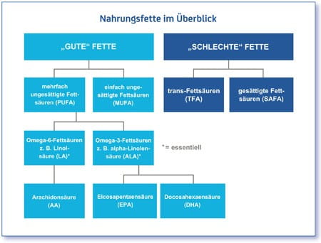 Fettqualität in der Ernährung