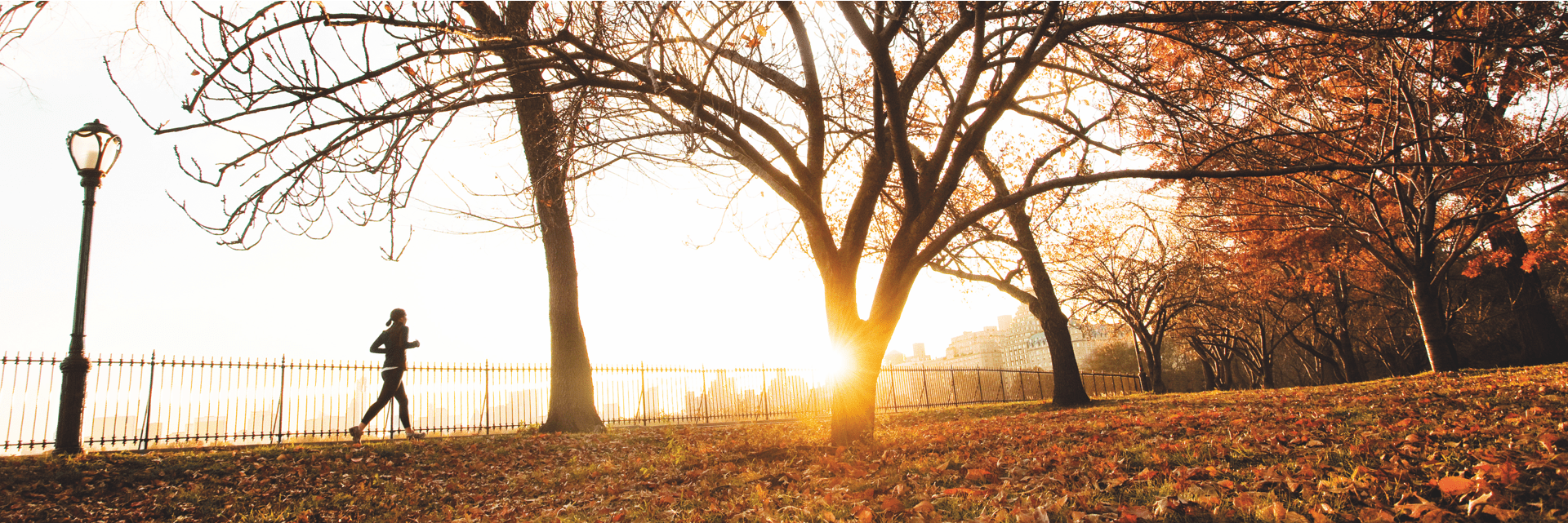 Herbstzeit – Suppenzeit