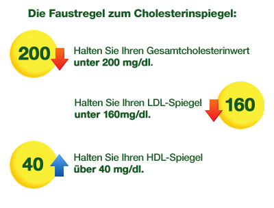 Faustregel zum Cholesterinspiegel