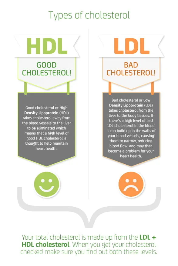 infographTypes of cholesterol