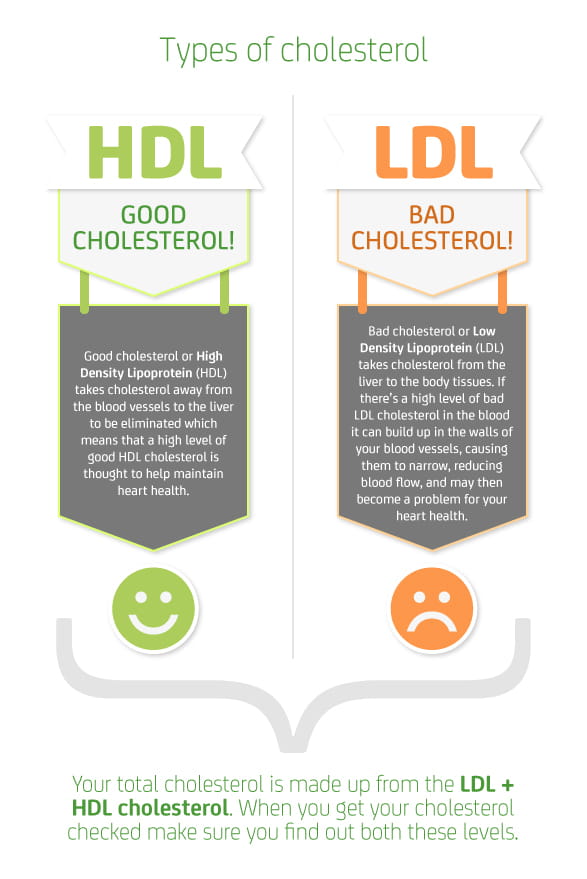 What is Cholesterol?