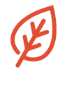 Icon plant