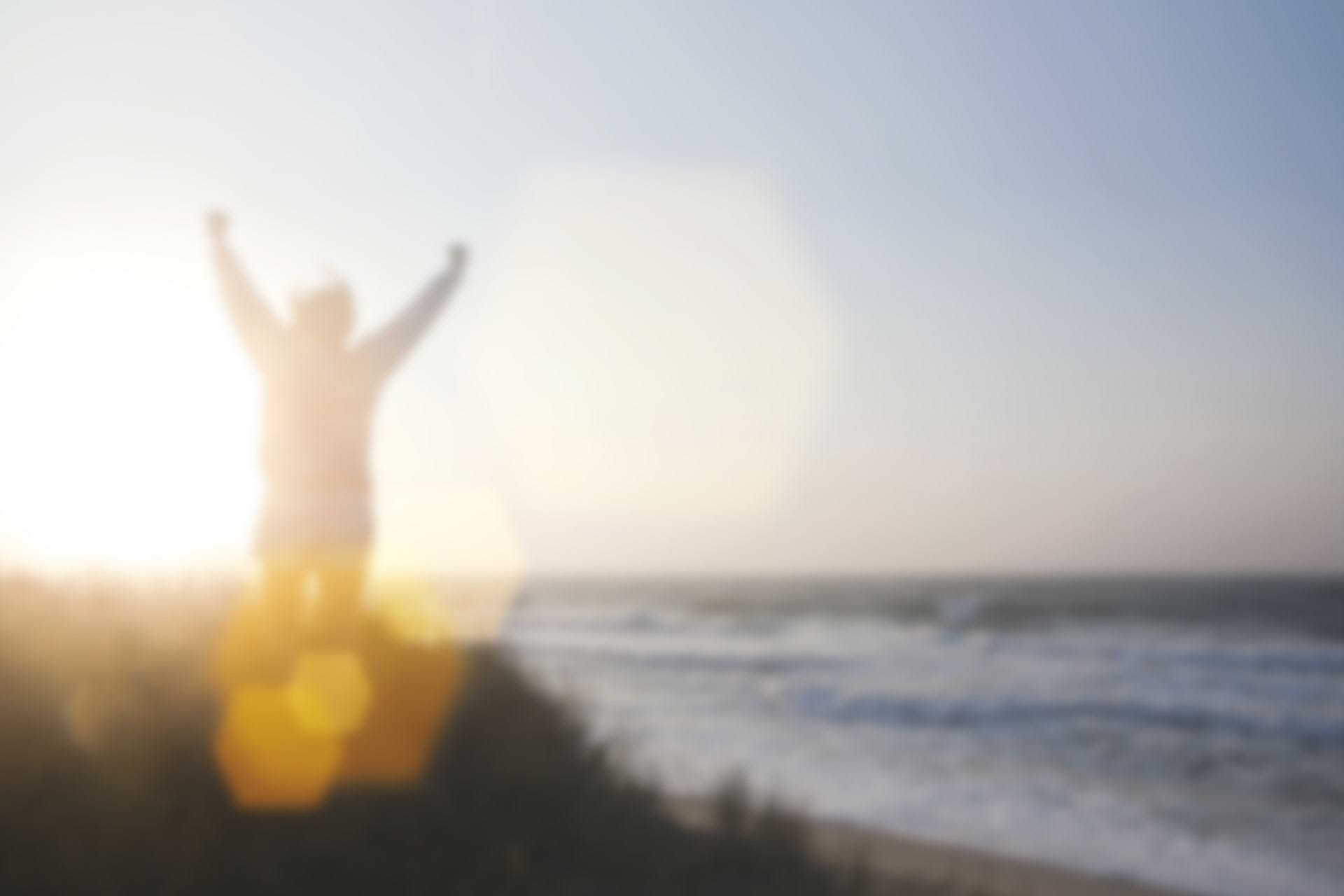 Article, Free guide to lower cholesterol