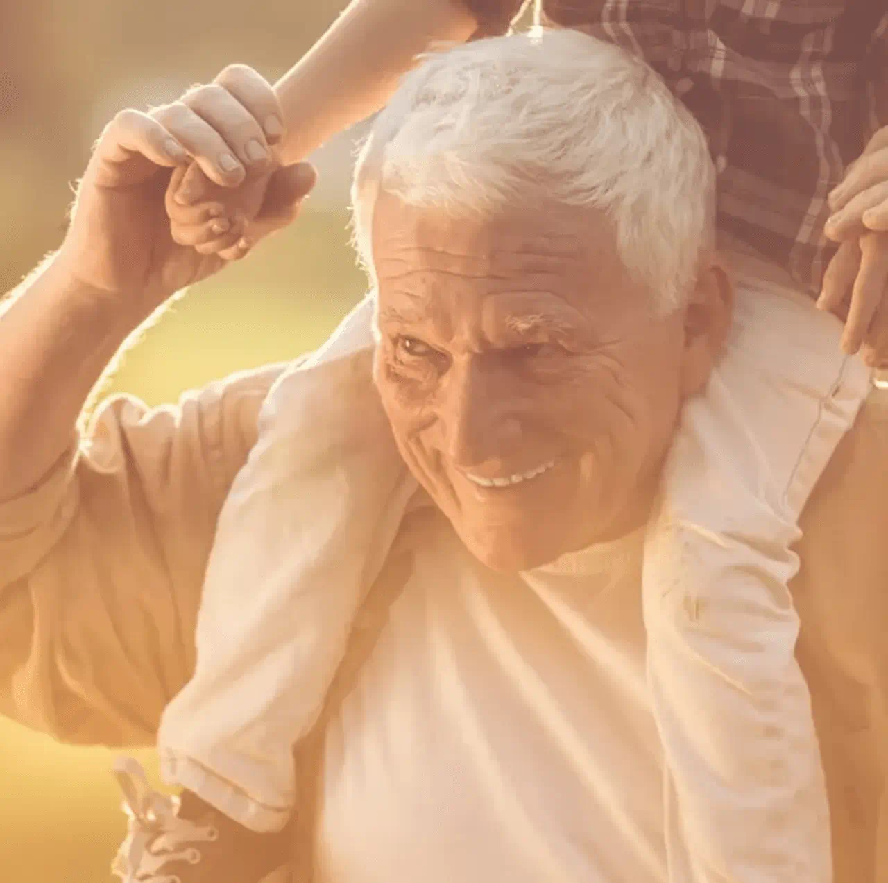 Article, Cholesterol & ageing 