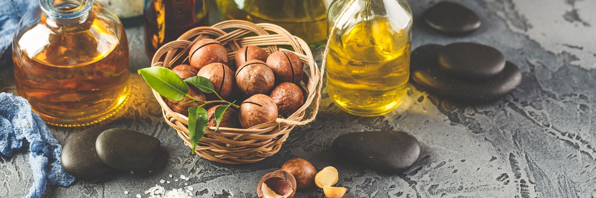 plant sterols reference