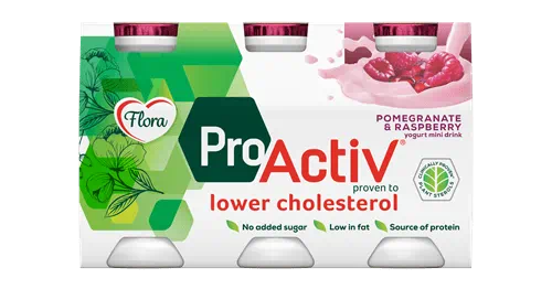 Flora ProActiv Mini Drink Pomegranate-Raspberry