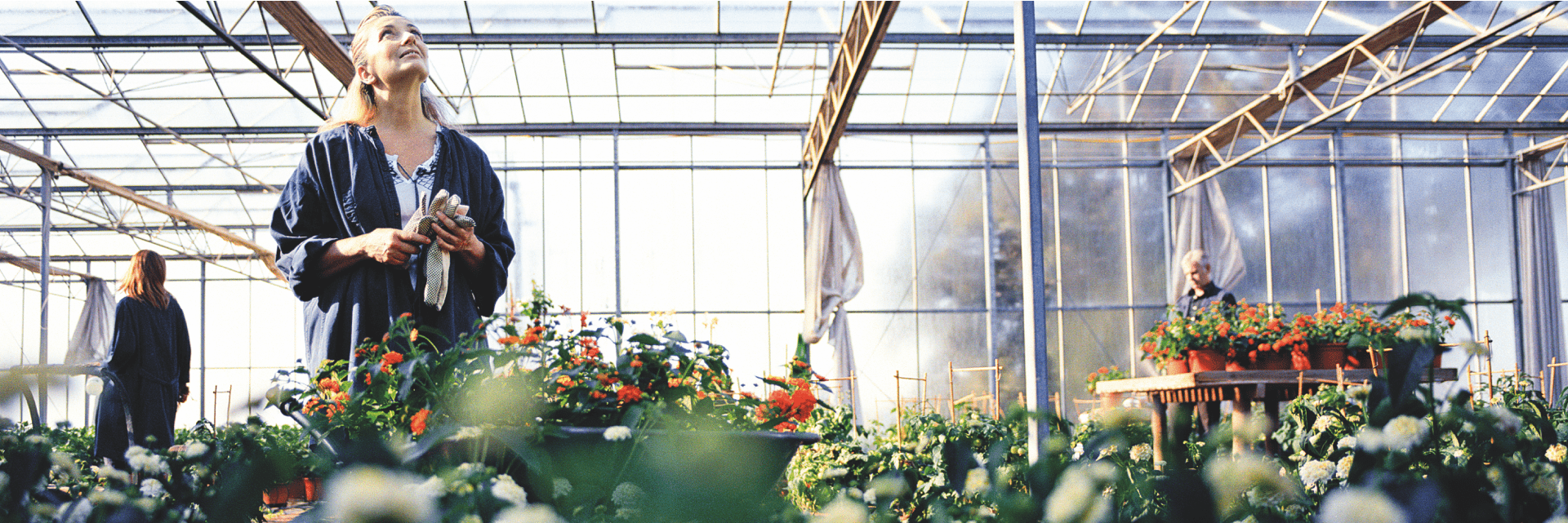 Votre propre potager