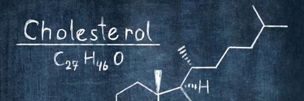 Qu'est-ce que le cholestérol