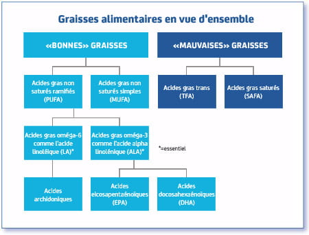 Qualité des graisses dans l’alimentation