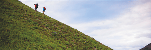 Comment faire baisser la tension artérielle ?