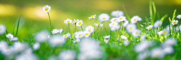 Qu’est-ce qu’une tension artérielle basse ?