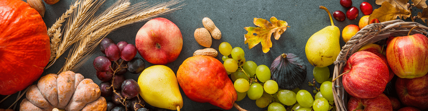 Le dossier d automne