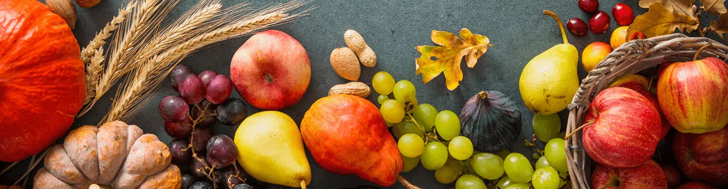 Le dossier d automne