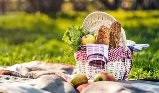 Picnic in den hof
