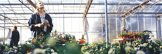 Ontstressen in de tuin