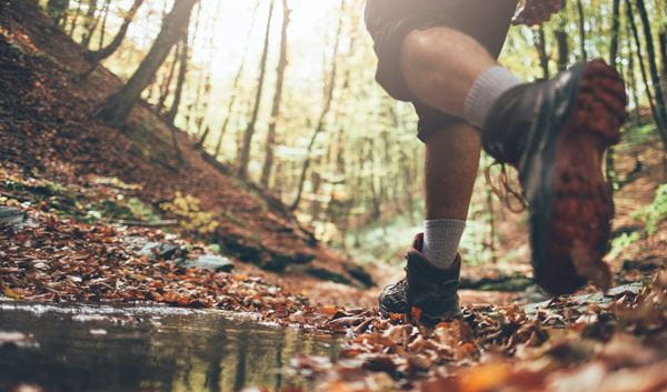 Buiten wandelen: gezond & tijdsbesparend