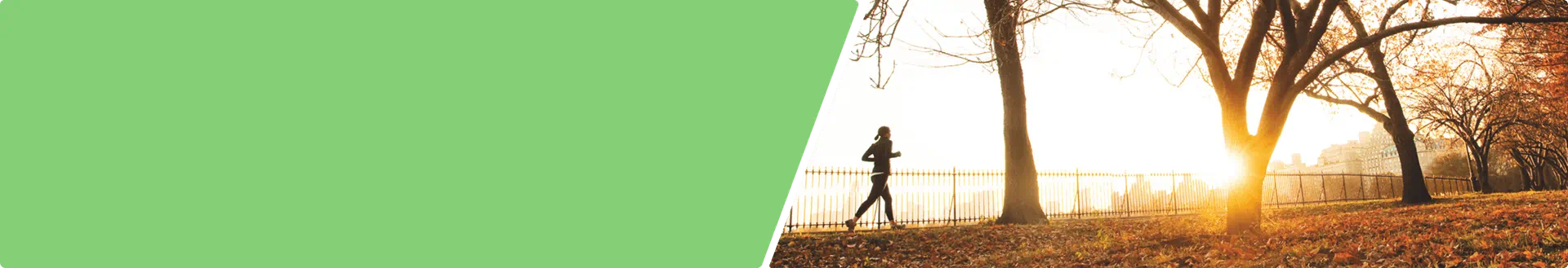 Article, Jouw BMI berekenen met deze informatie en formule