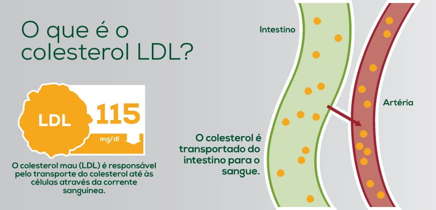 O que é o colesterol LDL