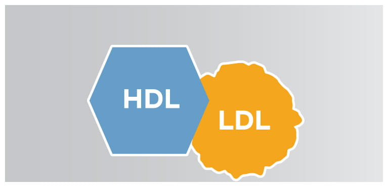 O que é o colesterol HDL LDL