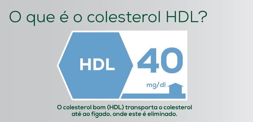 O que é o colesterol HDL